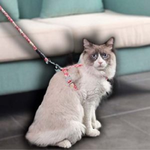 Arnés Tiras H Floral