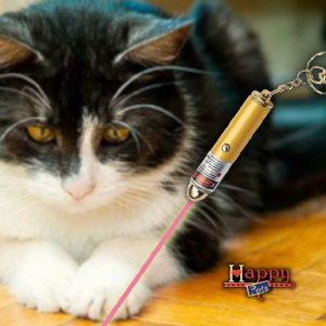 Laser Para Gatos