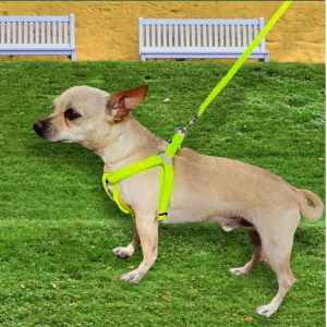 Arnés De Tiras Reflectivo