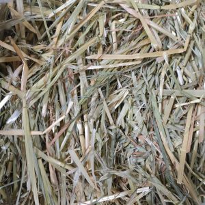 Avena 4 Kilos Top Fibra Larga + Verde