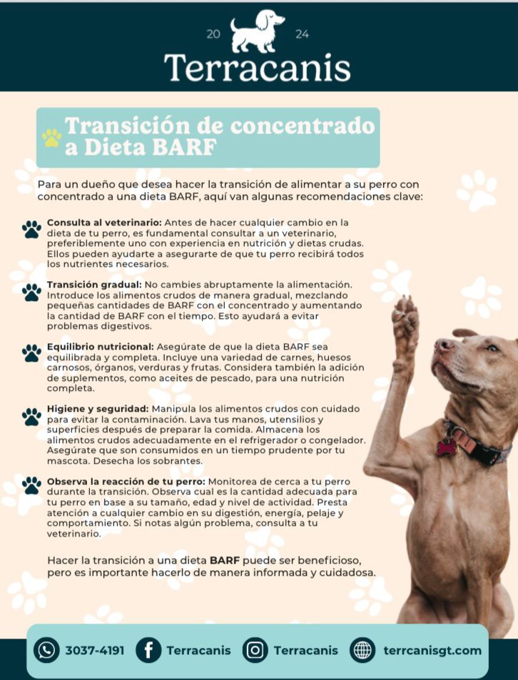 TERRACANIS COMBO BARF DE POLLO 28 UNIDADES - Imagen 3