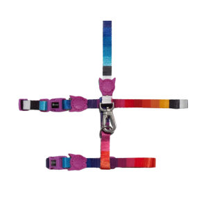 ZeeCat Prisma Arnés y Correa Gato