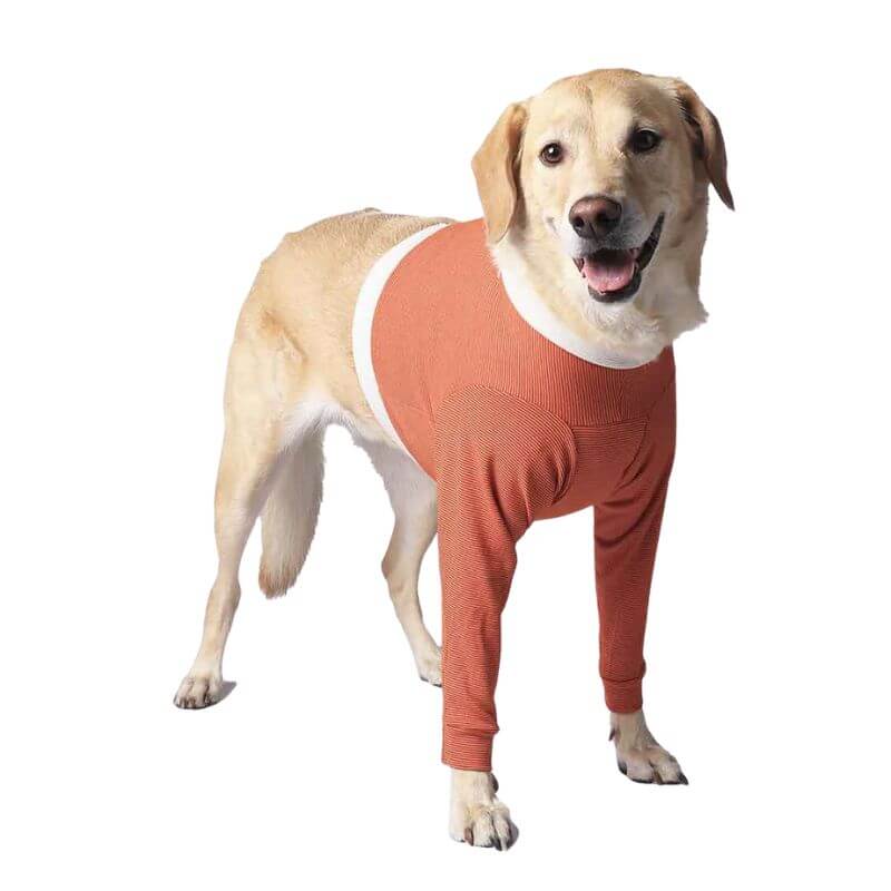 <strong>Kimba Vet</strong> Body de Cobre Protector Miembros Anteriores, para Perros y Gatos, Tecnología Antibacteriana, Talla 5 (7.5 a 10 kg)