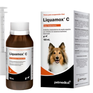 LIQUAMOX C – 100ml