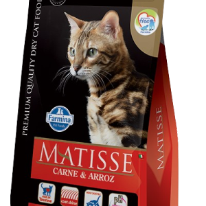 Matisse Gato Adulto CARNE Y ARROZ – 2kg