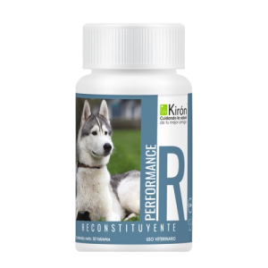 PERFORMANCE RECONSTITUYENTE 30 TABS