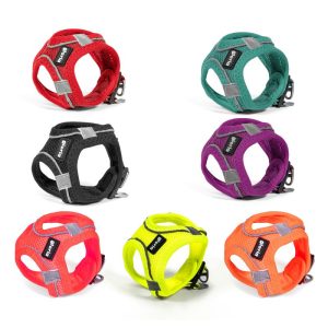 Arnés Air Mesh Trek Star