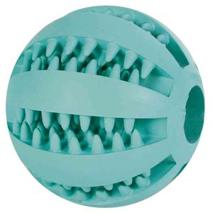 Pelota Denta Fun