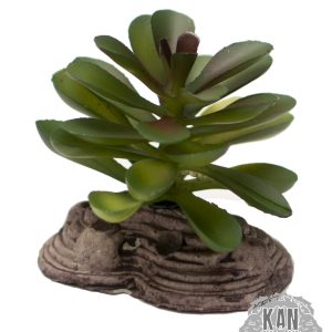 Planta artificial – Suculenta 1 XS