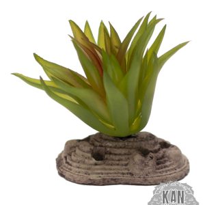 Planta artificial – Suculenta 2 XS