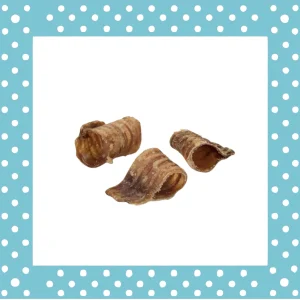 Traquea de ternera pequeña