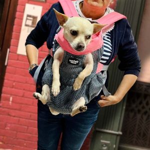 Cargador Canguro Malla