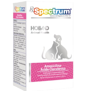 Amoxicilina Ácido Clavulánico Suspensión Oral 30ml