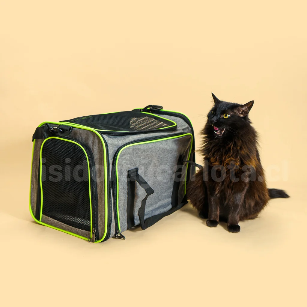 Bolso transporte para gatos expandible - Imagen 2