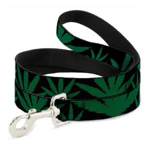 Correa Buckle Down Mary