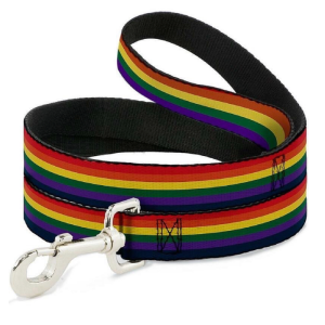 Correa Buckle Down Rainbow