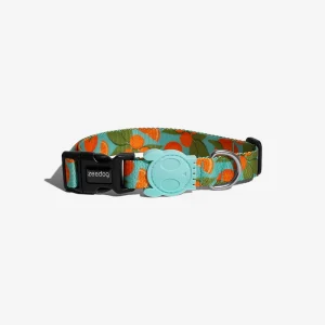 <strong>Zee.Dog</strong> Florida, Collar Ajustable de Polyester para Perros, Tallas: XS, S, M, L