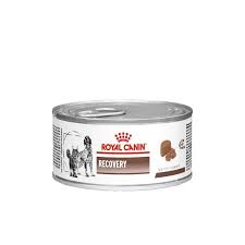 Royal Canin Recovery Canine/Feline Lata 145 G
