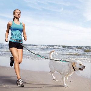 Correa Manos Libres Resortada Reflectiva