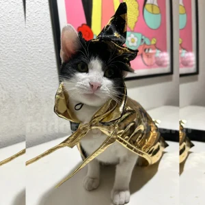Disfraz para gatos
