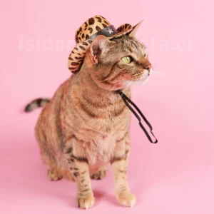 Gorro vaquero para gatos