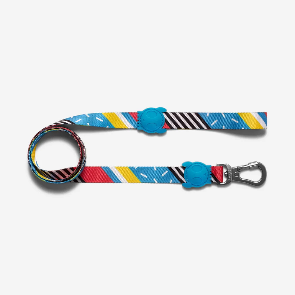 <strong>Zee.Dog</strong> Brooklyn, Correa de Polyester Suave para Perros, Tallas: XS, S, L - Imagen 2