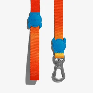 <strong>Zee.Dog</strong> Solaris, Correa de Polyester Suave para Perros, Tallas: XS, S, L