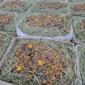 Heno de Festuca Extra Verde con Mix De Flores