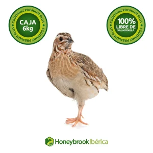 Codorniz Premium Plus