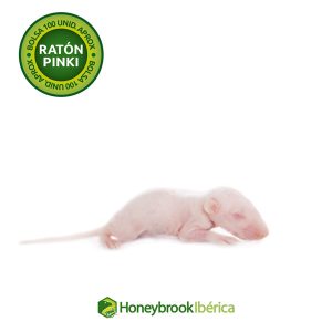 Ratón Pinky