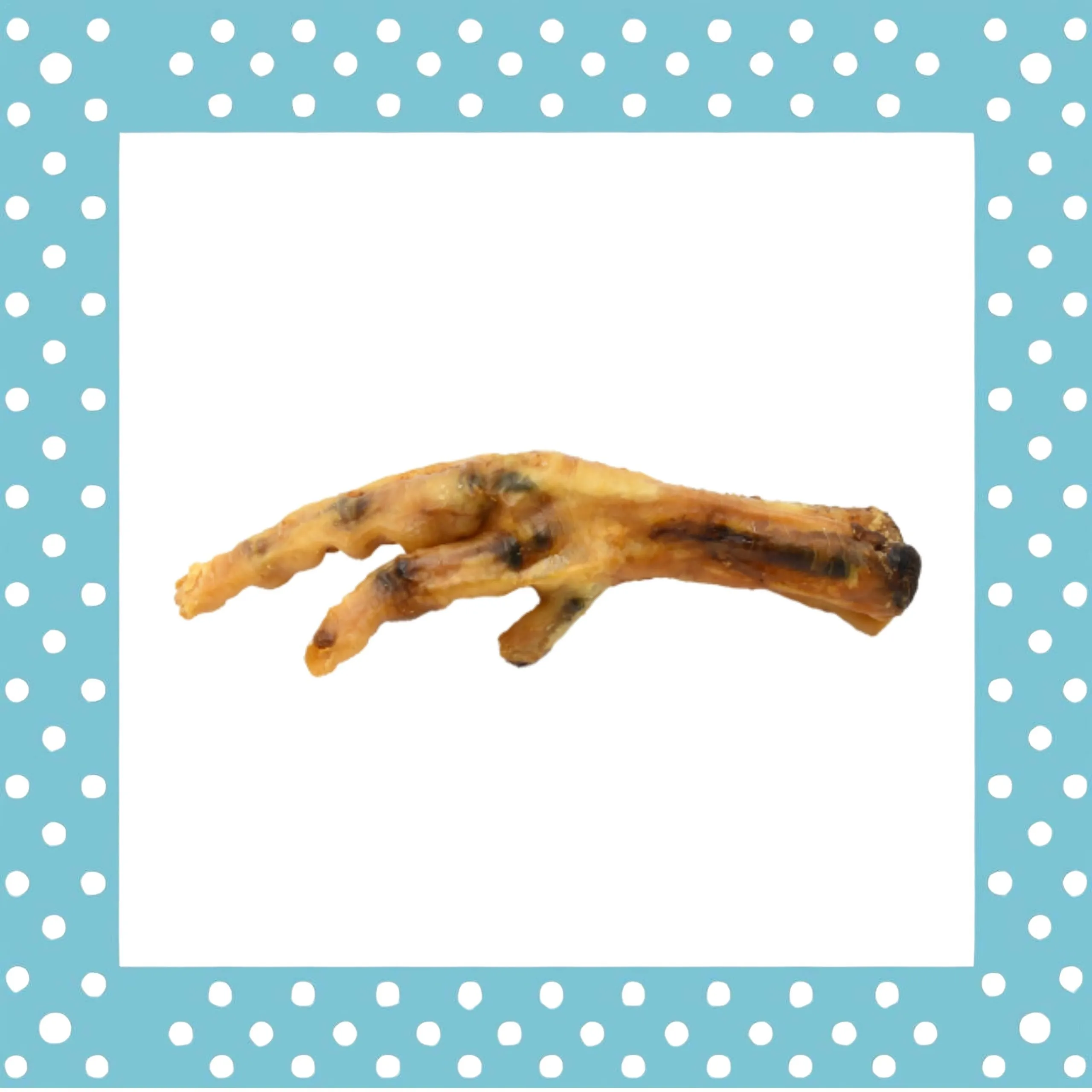 Patas de pollo (pack 5 unidades) - Imagen 3