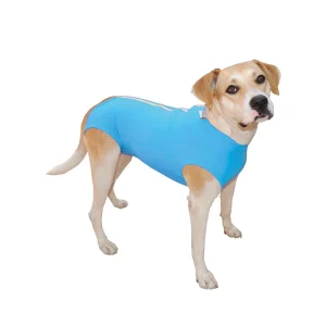 <strong>Pet Med</strong> Body Básico Postquirúrgico para Perros Machos, Protección UV y Antimicrobiana