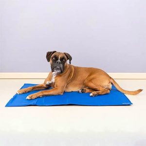 Alfombra Refrescante