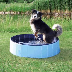 Piscina para Perro
