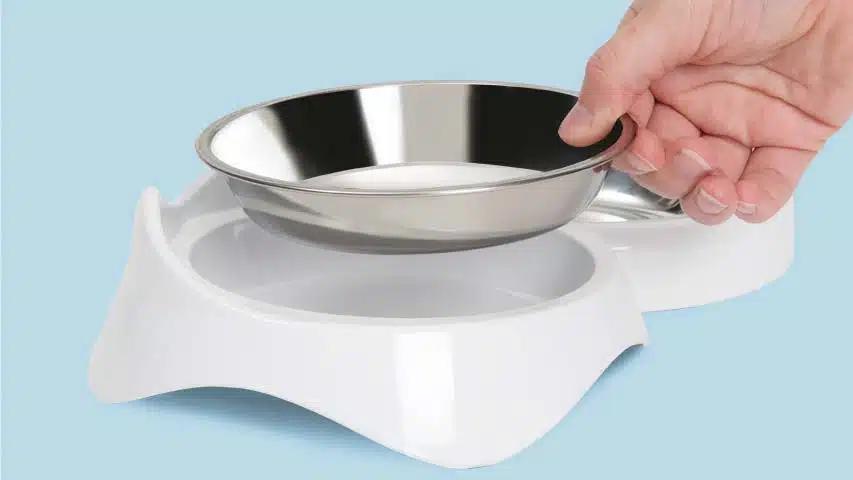 Catit Pixi Plato individual borde bajo - Imagen 2