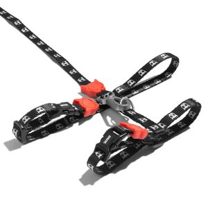 ZeeCat Skull  2.0 Harness + Leash Set