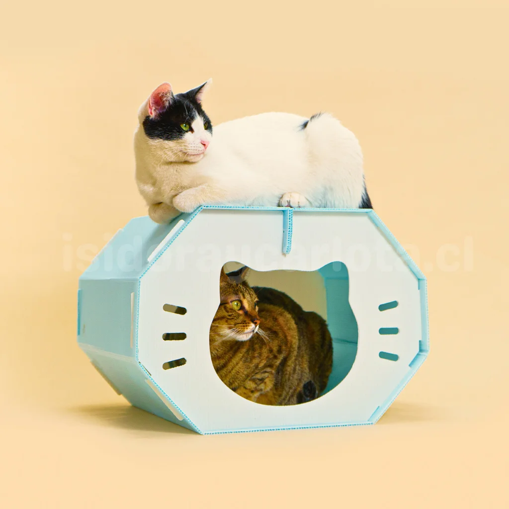 Refugio octogonal para gatos