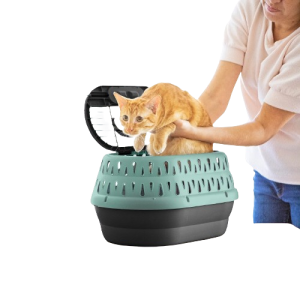 Transportadora – Top Load