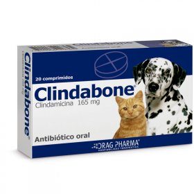 Clindabone Clindamicina 165 Mg 20 Comp
