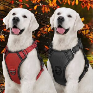 Arnés Pechera Antijalones de Seguridad