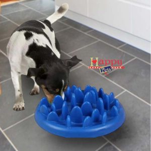 Comedero circular antiestrés/ antireflujo