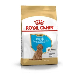 COMIDA PARA PERRO CACHORRO ROYAL CANIN POODLE PUPPY
