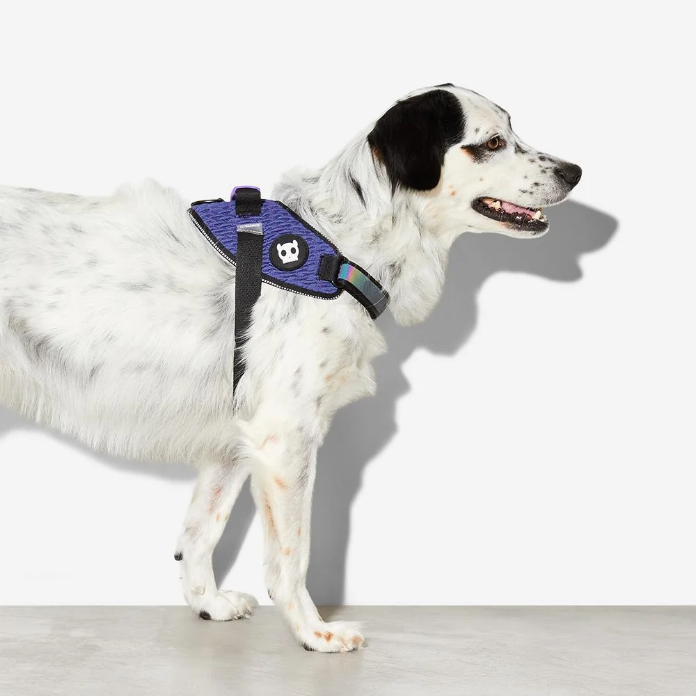 <strong>Zee.Dog</strong> Wicked FlyHarness Arnés Ultraligero para Perros - Imagen 2
