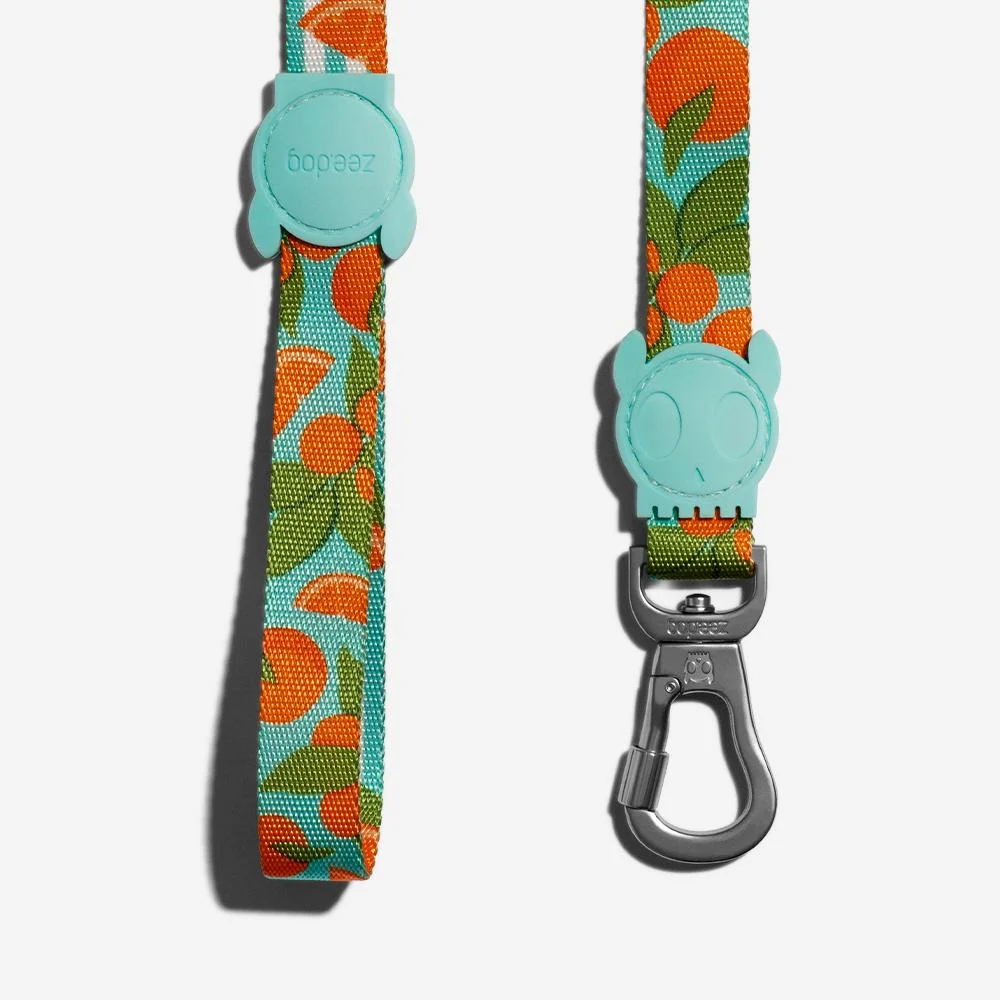 <strong>Zee.Dog</strong> Florida, Correa de Polyester Suave para Perros, Tallas: XS, S, L - Imagen 5