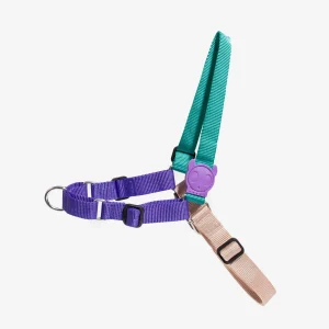 <strong>Zee.Dog</strong> Soft Walk Boogie, Arnés Anti-Tirones para Perros, Celeste Morado Beige, Talla M